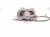 2022 Honda Passport Core Core Rear Passenger Brake Caliper 43018 TGS A01 Replacement 2022 Honda Passport Core Core Rear Passenger Brake Caliper 43018 TGS A01 Replacement thumbnail