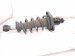 2022 Honda Passport Rear Passenger Strut Absorber + Spring 52611 TGT A11 Replacement 2022 Honda Passport Rear Passenger Strut Absorber + Spring 52611 TGT A11 Replacement thumbnail