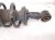 2022 Honda Passport Rear Driver Strut Absorber + Spring 52611 TGT A11 Replacement 2022 Honda Passport Rear Driver Strut Absorber + Spring 52611 TGT A11 Replacement thumbnail