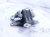 2021 Acura TLX Engine/motor Driver Engine Mount 3.0l Awd 50870 TGZ A01 Replacement 2021 Acura TLX Engine/motor Driver Engine Mount 3.0l Awd 50870 TGZ A01 Replacement thumbnail