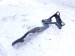 2021 Acura TLX Passenger Hood Hinge Black 60120 TGV A00ZZ Replacement 2021 Acura TLX Passenger Hood Hinge Black 60120 TGV A00ZZ Replacement thumbnail