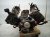 2011 BMW 750li Long Block Engine / Motor = Mi 11002296774 Replacement 2011 BMW 750li Long Block Engine / Motor = Mi 11002296774 Replacement thumbnail