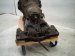 2011 BMW 750li Automatic Transmission = Mi 24007610254 Replacement 2011 BMW 750li Automatic Transmission = Mi 24007610254 Replacement thumbnail