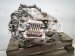 2022 Lexus Ux250h Automatic Transmission = Mi 30900 76010 Replacement 2022 Lexus Ux250h Automatic Transmission = Mi 30900 76010 Replacement thumbnail