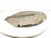 2011 BMW 750li Engine Appearance Cover 4.4l Turbo 13717577456 Replacement 2011 BMW 750li Engine Appearance Cover 4.4l Turbo 13717577456 Replacement thumbnail