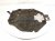 2011 BMW 750li Engine Appearance Cover 4.4l Turbo 13717577456 Replacement 2011 BMW 750li Engine Appearance Cover 4.4l Turbo 13717577456 Replacement thumbnail
