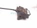 2013 Lexus Gs350 Front Driver Brake Caliper 47750 22460 Replacement 2013 Lexus Gs350 Front Driver Brake Caliper 47750 22460 Replacement thumbnail
