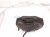 2013 Lexus Gs350 Front Driver Brake Caliper 47750 22460 Replacement 2013 Lexus Gs350 Front Driver Brake Caliper 47750 22460 Replacement thumbnail