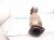 2013 Lexus Gs350 Rear Exhaust Manifold 17140 31790 Replacement 2013 Lexus Gs350 Rear Exhaust Manifold 17140 31790 Replacement thumbnail