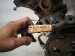2013 Lexus Gs350 Long Block Engine / Motor = 128k Mi 19000 31B13 Replacement 2013 Lexus Gs350 Long Block Engine / Motor = 128k Mi 19000 31B13 Replacement thumbnail