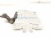 2011 BMW 750li Active Suspension Control Module 37 14 6 850 297 Replacement 2011 BMW 750li Active Suspension Control Module 37 14 6 850 297 Replacement thumbnail