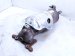 2023 Honda Accord Exhaust Manifold 2.0l Hybrid 18150 6NH A00 Replacement 2023 Honda Accord Exhaust Manifold 2.0l Hybrid 18150 6NH A00 Replacement thumbnail