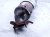 2023 Honda Accord Exhaust Manifold 2.0l Hybrid 18150 6NH A00 Replacement 2023 Honda Accord Exhaust Manifold 2.0l Hybrid 18150 6NH A00 Replacement thumbnail