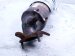 2023 Honda Accord Exhaust Manifold 2.0l Hybrid 18150 6NH A00 Replacement 2023 Honda Accord Exhaust Manifold 2.0l Hybrid 18150 6NH A00 Replacement thumbnail