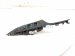 2014 Honda Accord Power / Master Window Control Switch Driver 35750 T2A A11 Replacement 2014 Honda Accord Power / Master Window Control Switch Driver 35750 T2A A11 Replacement thumbnail