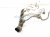 2011 BMW 750li Injector Passenger Fuel Rail Assy 13 53 7 547 600 Replacement 2011 BMW 750li Injector Passenger Fuel Rail Assy 13 53 7 547 600 Replacement thumbnail