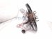 2025 Honda CR V Axle Stub Rear Passenger Spindle Knuckle Hub Fwd 52210 3A0 A00 Replacement 2025 Honda CR V Axle Stub Rear Passenger Spindle Knuckle Hub Fwd 52210 3A0 A00 Replacement thumbnail