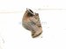 2011 BMW 750li Driver Exhaust Manifold 11 62 7 638 778 Replacement 2011 BMW 750li Driver Exhaust Manifold 11 62 7 638 778 Replacement thumbnail