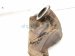 2011 BMW 750li Passenger Exhaust Manifold 11 62 7 638 778 Replacement 2011 BMW 750li Passenger Exhaust Manifold 11 62 7 638 778 Replacement thumbnail