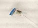 2016 Honda Accord Windshield Washer Reservoir Tank 76841 T2F A01 Replacement 2016 Honda Accord Windshield Washer Reservoir Tank 76841 T2F A01 Replacement thumbnail