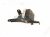 2016 Honda Accord (anti Lock Brake) Abs/vsa Pump Modulator 04571 T3L X01 Replacement 2016 Honda Accord (anti Lock Brake) Abs/vsa Pump Modulator 04571 T3L X01 Replacement thumbnail