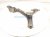 2016 Honda Accord Front Driver Lower Control Arm 51360 T2A B00 Replacement 2016 Honda Accord Front Driver Lower Control Arm 51360 T2A B00 Replacement thumbnail
