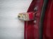 2016 Honda Accord Front Passenger Door Red No Mirror/trim 67010 T3L A90ZZ Replacement 2016 Honda Accord Front Passenger Door Red No Mirror/trim 67010 T3L A90ZZ Replacement thumbnail