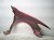 2016 Honda Accord Front Driver Fender Red 60261 T3L A90ZZ Replacement 2016 Honda Accord Front Driver Fender Red 60261 T3L A90ZZ Replacement thumbnail