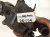2019 BMW 330i Electric Water Pump Assy 2.0l 11518638026 Replacement 2019 BMW 330i Electric Water Pump Assy 2.0l 11518638026 Replacement thumbnail