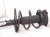 2021 Nissan Maxima Front Passenger Strut + Spring Sv E4302 4RA3B Replacement 2021 Nissan Maxima Front Passenger Strut + Spring Sv E4302 4RA3B Replacement thumbnail
