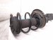 2021 Nissan Maxima Front Passenger Strut + Spring Sv E4302 4RA3B Replacement 2021 Nissan Maxima Front Passenger Strut + Spring Sv E4302 4RA3B Replacement thumbnail