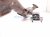 2025 Honda CR V Exhaust Flex Pipe A 2.0l Hybrid 18200 3D0 A01 Replacement 2025 Honda CR V Exhaust Flex Pipe A 2.0l Hybrid 18200 3D0 A01 Replacement thumbnail