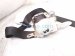 2013 Lexus Gs350 Rear Passenger Seat Belt Retractor Black 73360 30530 C0 Replacement 2013 Lexus Gs350 Rear Passenger Seat Belt Retractor Black 73360 30530 C0 Replacement thumbnail