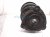 2021 Nissan Maxima Front Driver Strut + Spring Sv E4302 4RA3B Replacement 2021 Nissan Maxima Front Driver Strut + Spring Sv E4302 4RA3B Replacement thumbnail