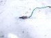2018 Toyota Tacoma Passenger Exhaust Oxygen Sensor 3.5l 89465 04430 Replacement 2018 Toyota Tacoma Passenger Exhaust Oxygen Sensor 3.5l 89465 04430 Replacement thumbnail