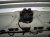 2014 Honda Accord Trunk / Decklid W/lights White 68500 T2A A80ZZ Replacement 2014 Honda Accord Trunk / Decklid W/lights White 68500 T2A A80ZZ Replacement thumbnail