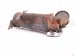 2017 Chevy Malibu Catalytic Converter 1.5t Fwd 12667331 Replacement 2017 Chevy Malibu Catalytic Converter 1.5t Fwd 12667331 Replacement thumbnail