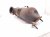 2017 Chevy Malibu Catalytic Converter 1.5t Fwd 12667331 Replacement 2017 Chevy Malibu Catalytic Converter 1.5t Fwd 12667331 Replacement thumbnail