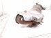 2017 Chevy Malibu Catalytic Converter 1.5t Fwd 12667331 Replacement 2017 Chevy Malibu Catalytic Converter 1.5t Fwd 12667331 Replacement thumbnail