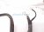 2021 Nissan Maxima Battery Cable Assy 3.5l 24080 3NT0A Replacement 2021 Nissan Maxima Battery Cable Assy 3.5l 24080 3NT0A Replacement thumbnail