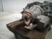 2022 Lexus Ux250h Transfer Case Rear Traction Motor 2.0l Hybrid G1050 47013 Replacement 2022 Lexus Ux250h Transfer Case Rear Traction Motor 2.0l Hybrid G1050 47013 Replacement thumbnail