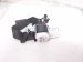 2025 Honda Civic Rear 2nd Mid Seat Belt Retractor Black 04829 T39 A00ZA Replacement 2025 Honda Civic Rear 2nd Mid Seat Belt Retractor Black 04829 T39 A00ZA Replacement thumbnail