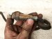 2011 BMW 750li Passenger Oxygen Sensor 4.4l 11787576673 Replacement 2011 BMW 750li Passenger Oxygen Sensor 4.4l 11787576673 Replacement thumbnail