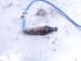 2020 Mercedes S560 Rear Oxygen Sensor 4.0l 000 542 20 04 Replacement 2020 Mercedes S560 Rear Oxygen Sensor 4.0l 000 542 20 04 Replacement thumbnail