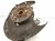 2016 Honda Accord Front Driver Spindle Knuckle Hub 51215 T2A K01 Replacement 2016 Honda Accord Front Driver Spindle Knuckle Hub 51215 T2A K01 Replacement thumbnail