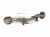 2011 BMW 750li Rear Passenger Rearward Upper Control Arm 33 32 6 782 132 Replacement 2011 BMW 750li Rear Passenger Rearward Upper Control Arm 33 32 6 782 132 Replacement thumbnail