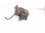 2000 Toyota Tacoma Front Driver Brake Caliper 47750 04030 Replacement 2000 Toyota Tacoma Front Driver Brake Caliper 47750 04030 Replacement thumbnail