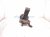 2000 Toyota Tacoma Front Passenger Spindle Knuckle Hub 4x2 43211 35190 Replacement 2000 Toyota Tacoma Front Passenger Spindle Knuckle Hub 4x2 43211 35190 Replacement thumbnail