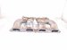 2000 Toyota Tacoma Intake Manifold 17111 75031 Replacement 2000 Toyota Tacoma Intake Manifold 17111 75031 Replacement thumbnail