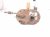 2000 Toyota Tacoma Gas / Fuel Pump (tank Mounted) 23206 0C020 Replacement 2000 Toyota Tacoma Gas / Fuel Pump (tank Mounted) 23206 0C020 Replacement thumbnail